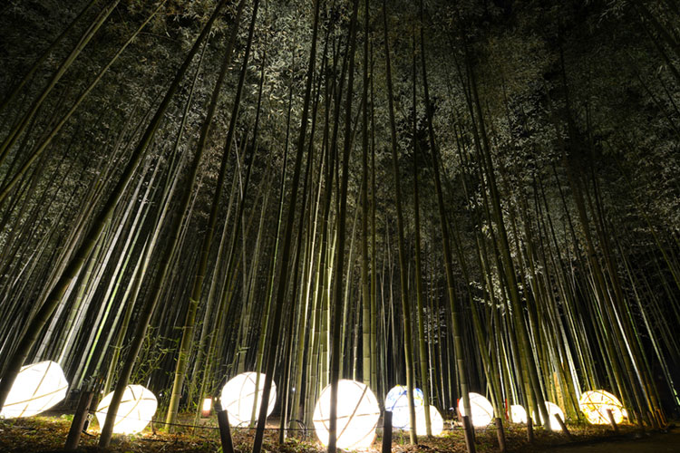 Unique handcrafted light display at the Arashiyama Hanatouro.