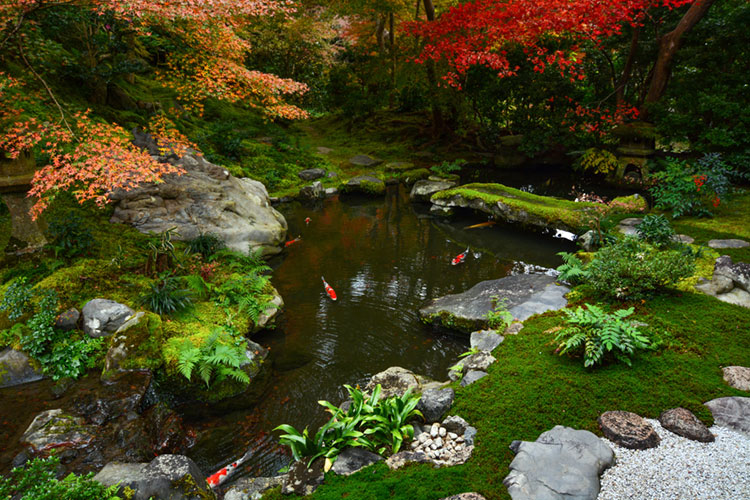 Mossy ornamental garden at Rurikou-in.