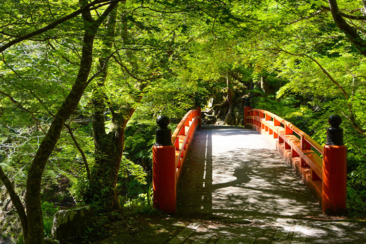 Bright red Shigetsukyou Bridge at Saimyou-ji Temple.