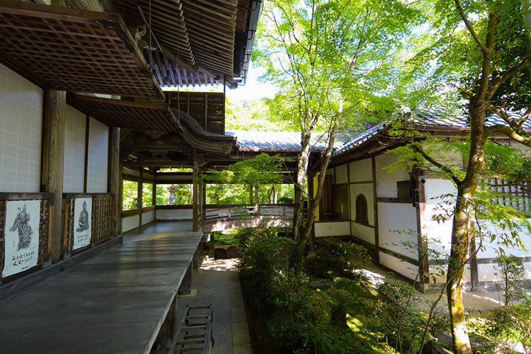 Saimyou-ji Temple buildings and grounds.