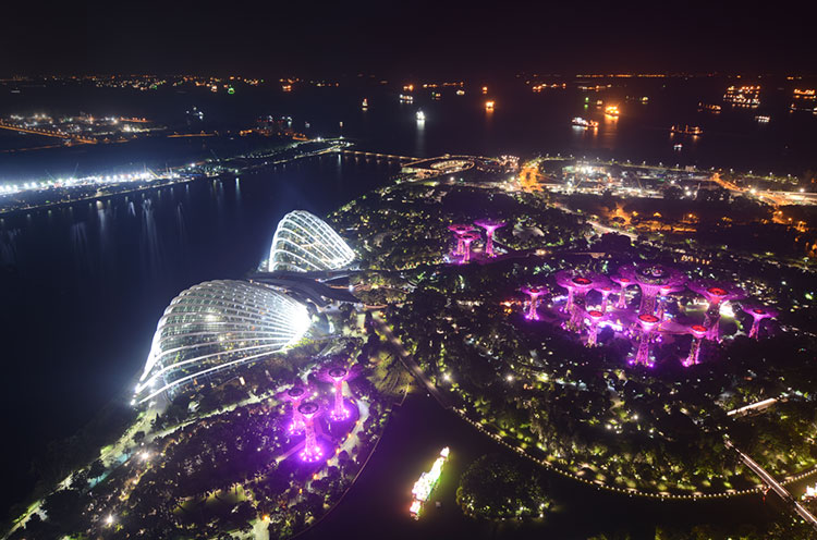 Night aerial of Gardens by the Bay and ships on the Singapore Strait.