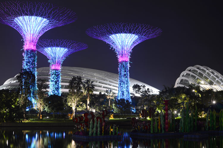 Supertrees and conservatory domes of Gardens by the Bay at night.