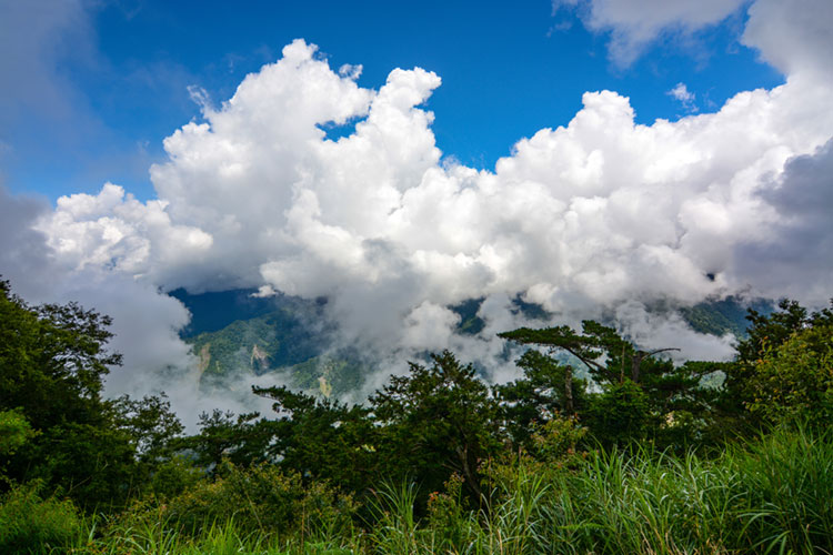 High mountain landscape and thick clouds at Alishan National Scenic Area.