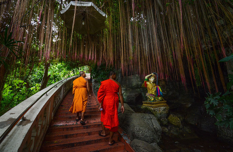 Orange-robed monks at Golden Mountain Temple.