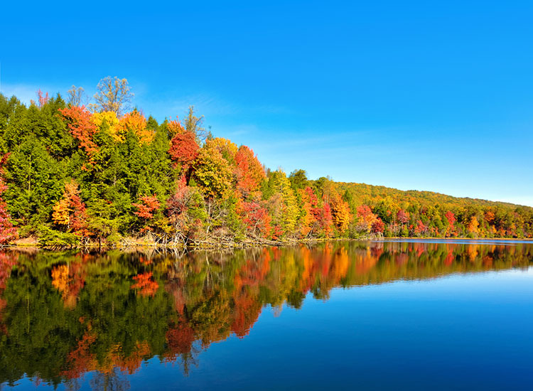 Beautiful reflections in the lake at Bays Mountain Park during autumn.